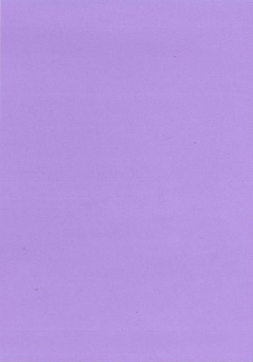 Picture of FOAM A4 VIOLET